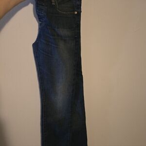 Lucky Brand Indigo Denim Jeans